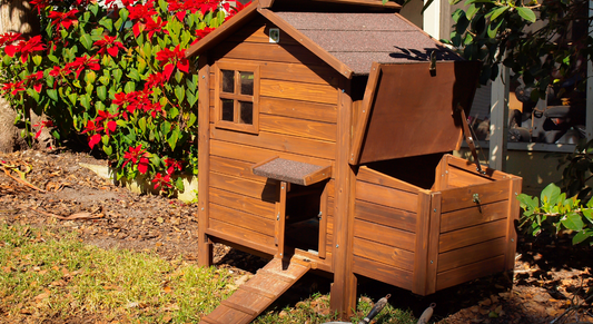 Tips voor het Inrichten van een Kippenhok: Creëer een Ideale Leefomgeving