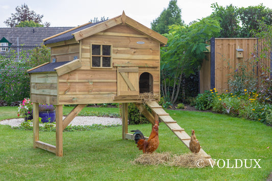 Kippenhok Jasper - hout