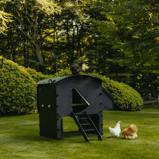 Kippenhok Nestera - kunststof zwart
