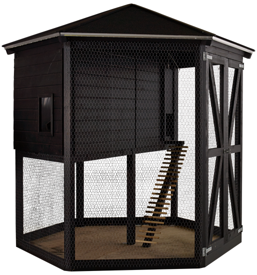 Kippenhok Deluxe - 2,4 x 2,4 m